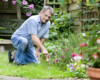 The Secrets to Landscaping and Gardening for Beginners From Professionals